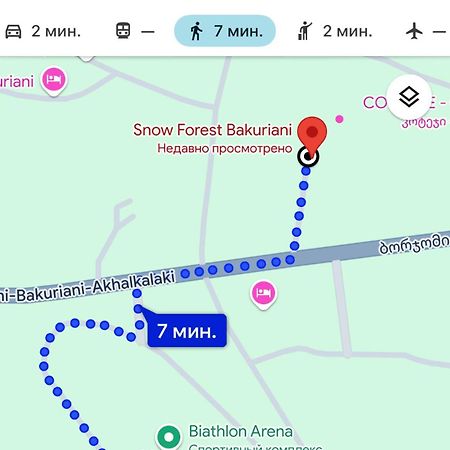 Snow Forest Bakuriani Apartment 10 Экстерьер фото