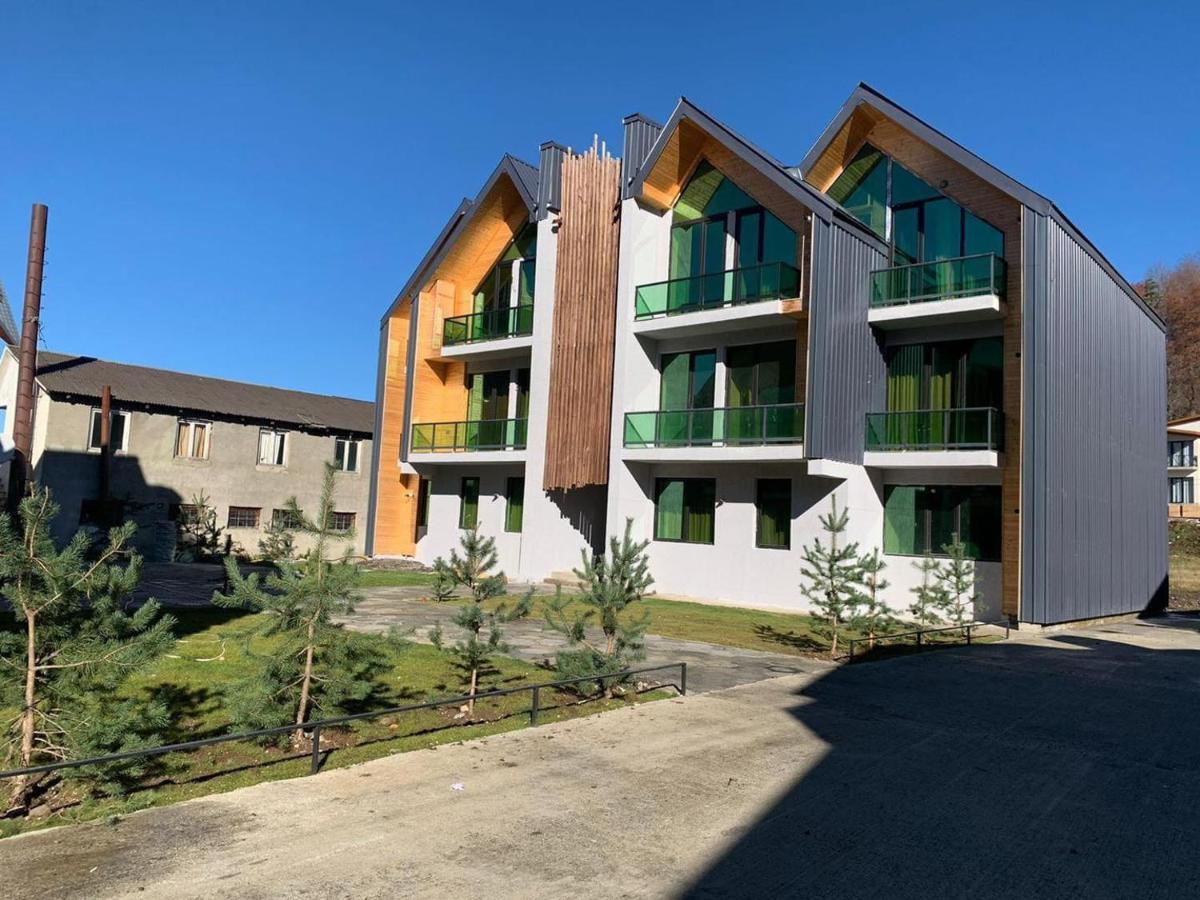 Snow Forest Bakuriani Apartment 10 Экстерьер фото